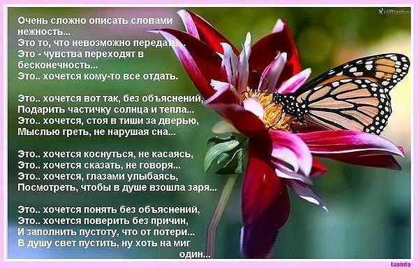 Очень сложно описать словами нежность. Очень трудно объяснить словами нежность. Нежность стихи. Сложно описать словами. Нельзя передать словами