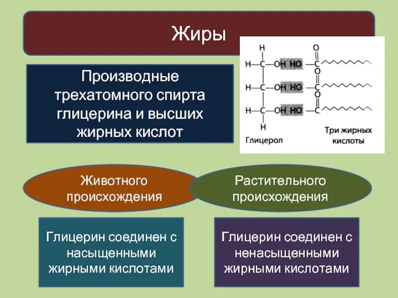 Кислоты растительного происхождения. Производные глицерина. Получение высших жирных спиртов. К производным глицерина относятся. Жиры это производные спирта глицерина и высших.