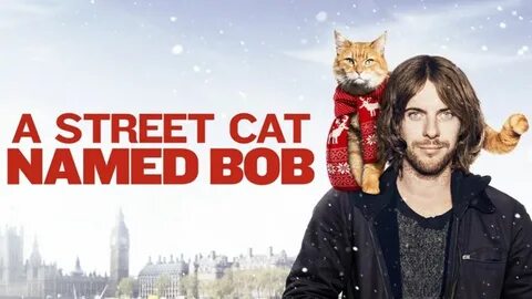 Включи кот по имени