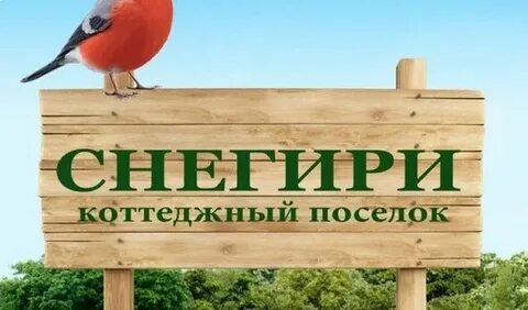 Снегири коттеджный поселок