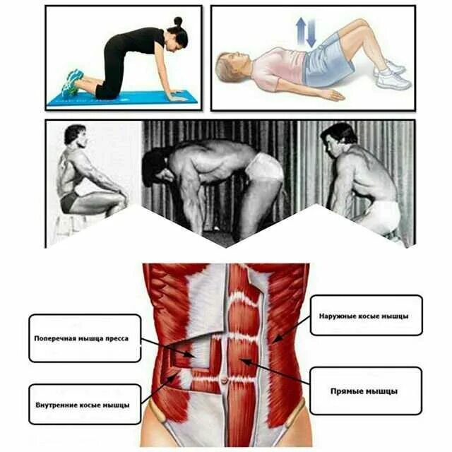 Упражнение вакуум. Вакуум живота техника выполнения. Поперечная мышца живота вакуум. Тренировка поперечной мышцы живота.