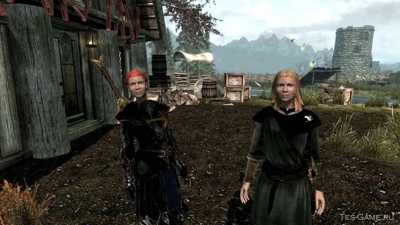 Скайрим мод роба вора. Империя скайрим. Ретекстур брони гильдии воров скайрим se. Броня гильдии воров скайрим. Гильдия из игр и фильмов.