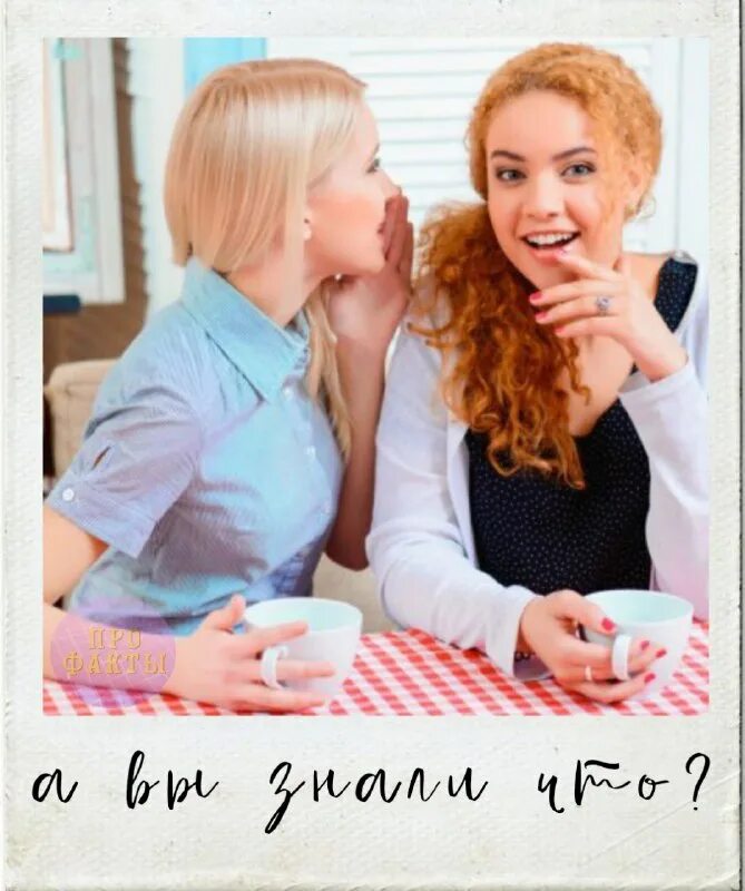 Подруга соседки. Мэдисон стоун. Элиша катберт +18. Две женщины болтают. Красивая соседка.