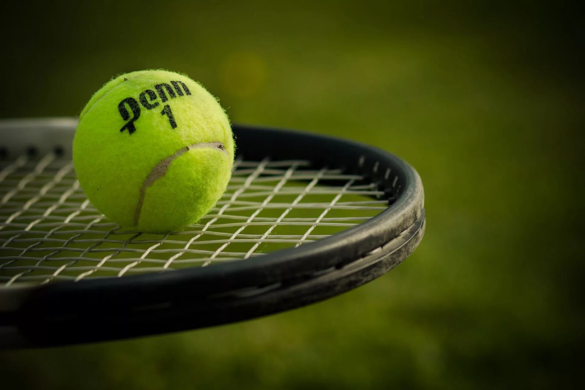 Мяч в сетке в теннисе. Теннисный мяч tennis. теннис корт ракетка мяч. д гиббс теннисный мяч. теннисный корт с мячом и ракеткой.