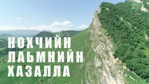 Стих нохчийн мотт на чеченском языке