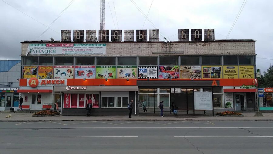 магазины города сосновый бор. магазин ленинград сосновый бор. интернет магазин сосновый бор. интернет магазин сосновый бор. молодежная, 45.