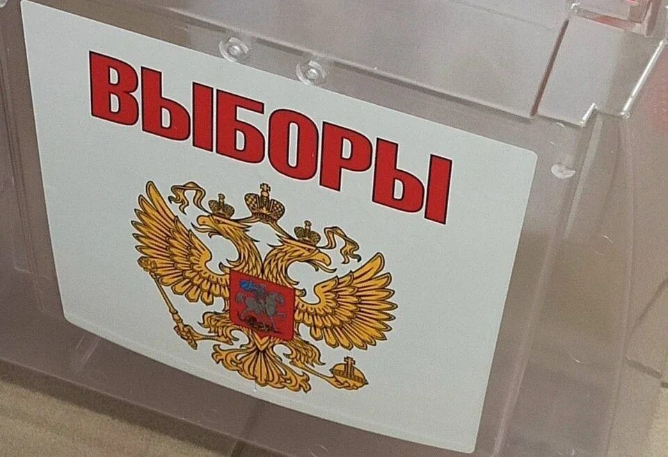 Кто сохранить выборы. Выборы. день голосования. выборы депутатов в калужскую область.