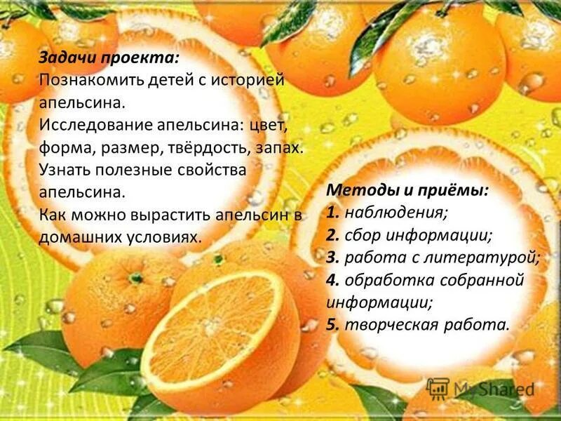 Интересные факты о апельсине. Апельсин с дыркой. Рассказ апельсин. Информация про апельсин. Происхождение апельсина.