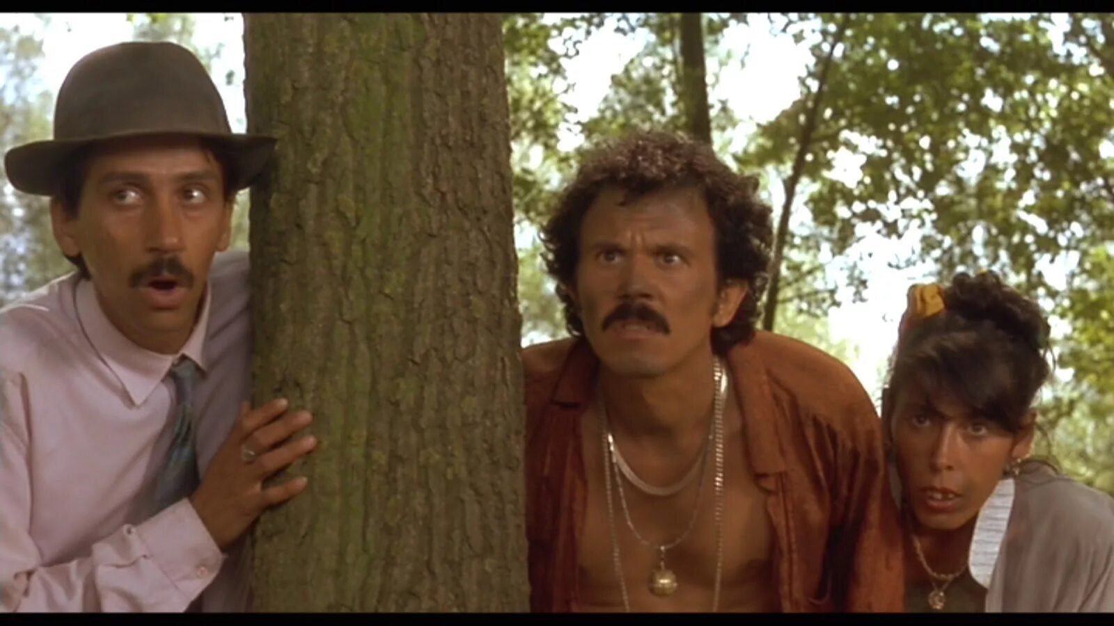 Белый кот черная кошка фильм кустурица. Черная кошка белый кот дадан. Белый кот черный кот кустурица. Черная кошка белый кот фильм 1998. Эмир кустурица цыгане.