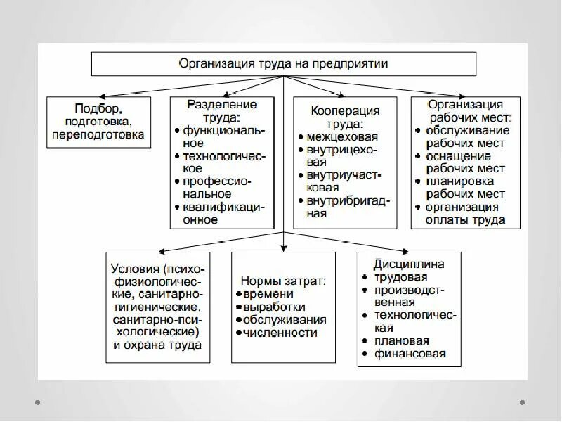 Условия работы что входит. Организация труда на предприятии схема. Ключевые элементы организации труда на предприятии. Основные составляющие системы организации труда. Система организации труда персонала.