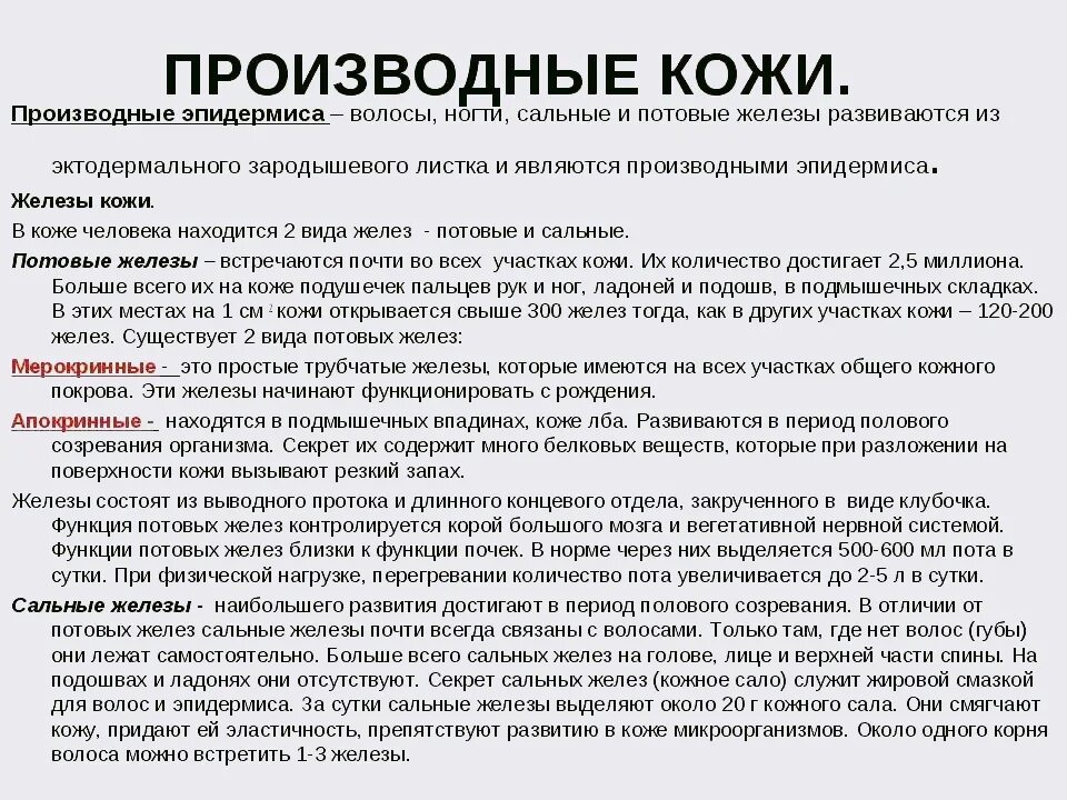 Структура и функции кожи. Строение кожи пальца гистология. Структурные элементы волос. Что является производным эпидермиса кожи. Строение кожи слои дермы.