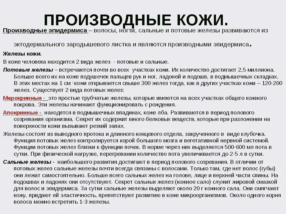 Строение и функции производных кожи. Строение производные кожи волосы и ногти. Производные кожи железы. Кожа производные кожи. Производные кожи железы волосы ногти.