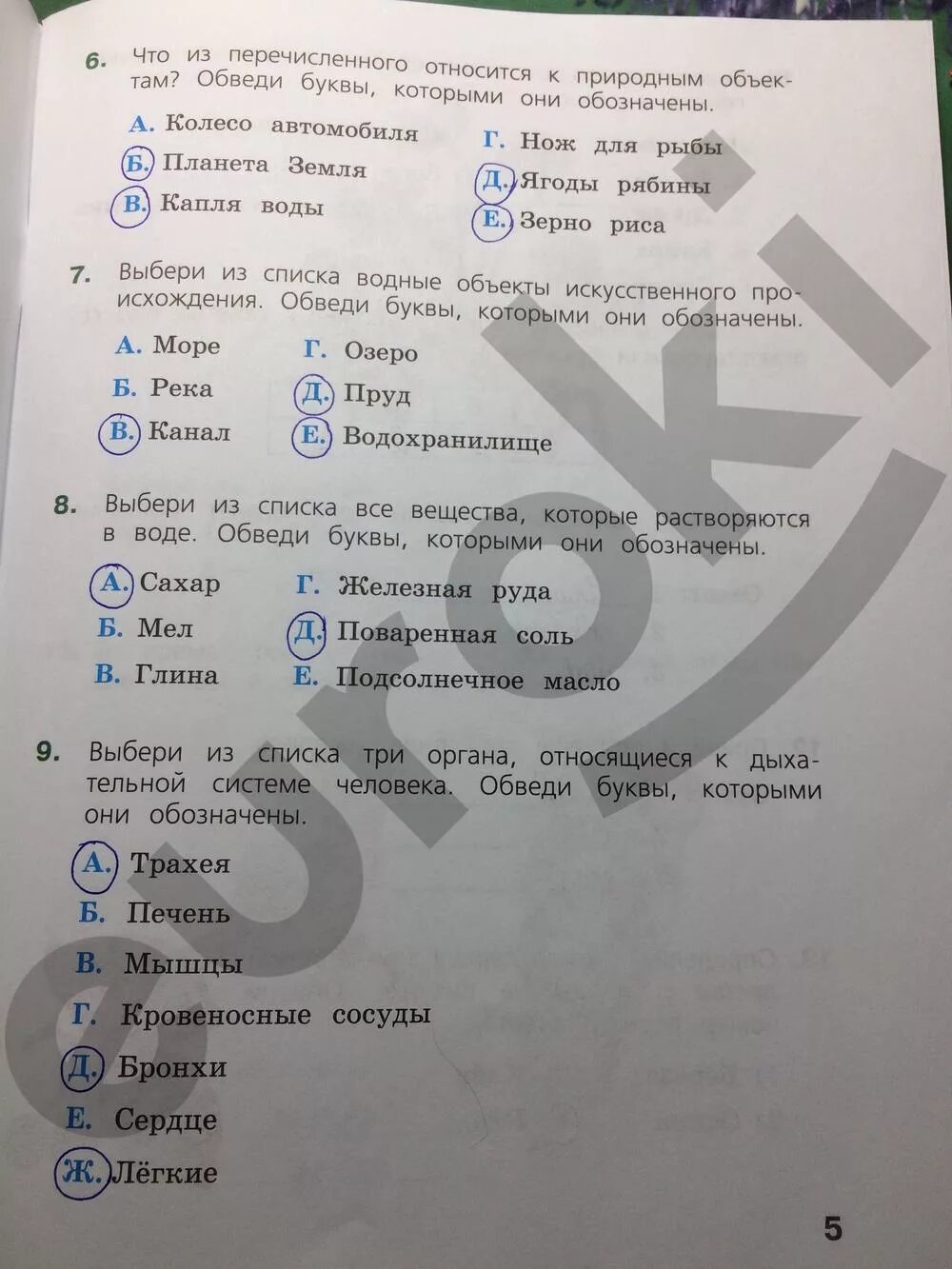 Варианты вар по биологии 5 класс. Задания по ВПР 4 класс окружающий мир. Задание по ВПР окружающий мир. ВПР 4 класс окружающей мир. Ответы по ВПР 4 класс окружающий мир.