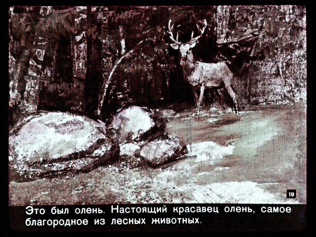 Емеля-охотник мамин-Сибиряк. Емеля охотник диафильм. Д мамин Сибиряк Емеля охотник. Мамин Сибиряк Емеля охотник  пейзаж. Д мамин емеля охотник