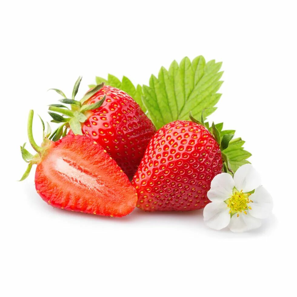 Клубника на белом фоне. Клубника фигаро. Strawberry x. Клубника строуберри. Клубника ремонтантная альбион.