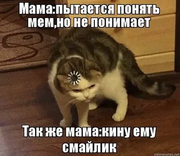 Вы не пытались меня понять