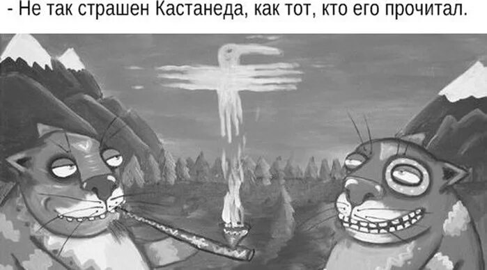 Так страшным стала яго імя. Кастанеда приколы. Не так страшен Кастанеда как тот кто его прочитал. Шутки про Кастанеду. Не так страшен Кастанеда, как те.