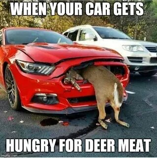 When your car