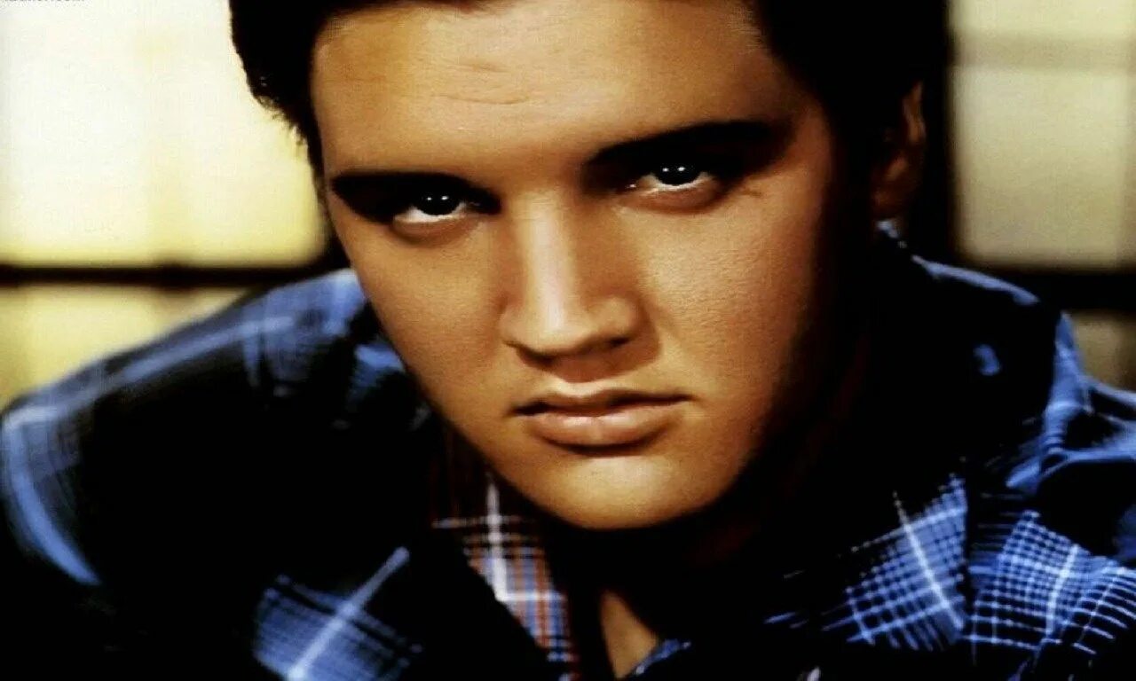 Элвис элвис elvis elvis. Элвис пресли. элвис фото. элвис король. пресли певец.