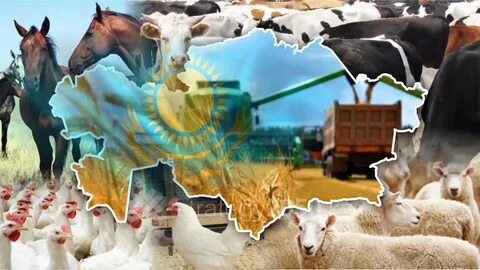 Мордовиядағы порнофотосуреттер мен бейнелер