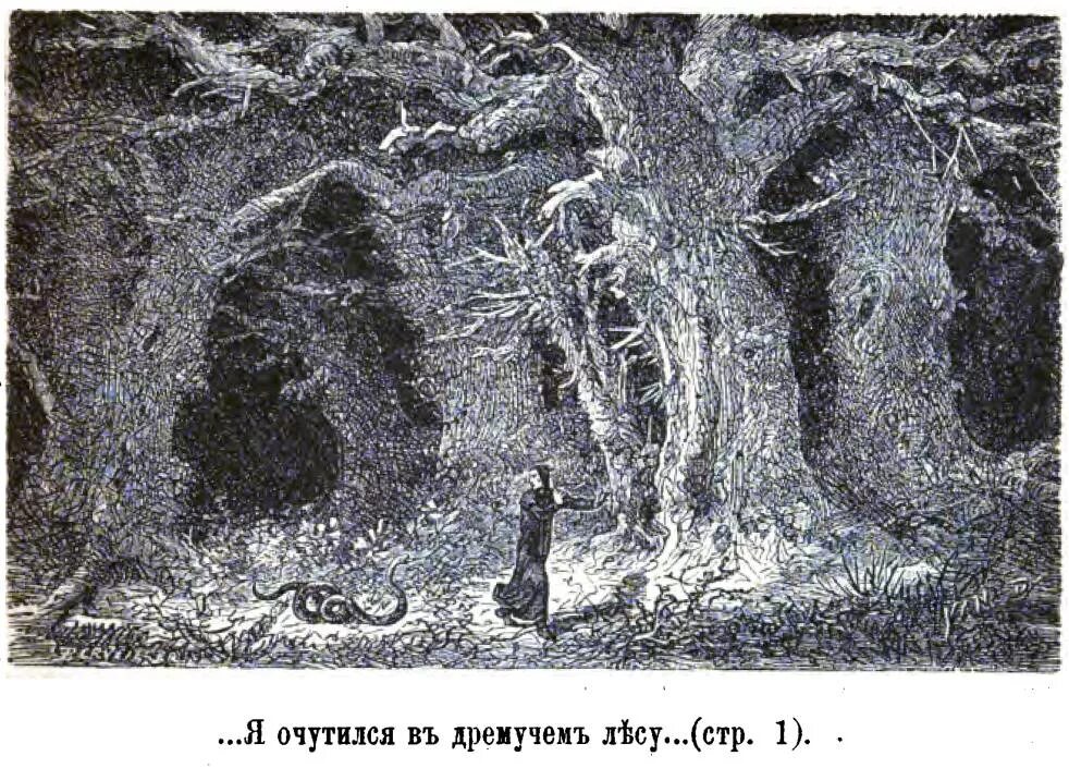 Лесу данте. Сумрачный лес Данте Алигьери. Божественная комедия Данте в лесу. Данте Алигьери Божественная комедия в дремучем лесу. Божественная комедия Данте иллюстрации Сумрачный лес.