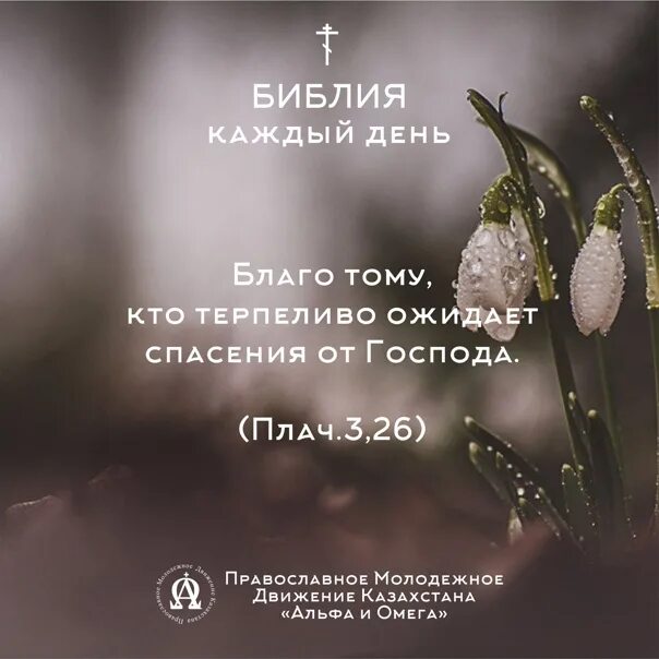 Стих дня из библии. Цитаты из библии. библейские цитаты. библия цитаты. стихи из библии на каждый день.