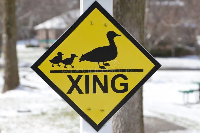 Знак с утками. Знак утки. Дорожный знак с утками. Знак осторожно утки. Символ утки.
