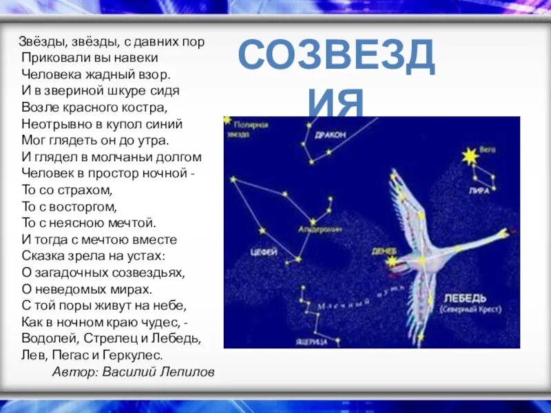 Созвездия 3 класс. Созвездие лебедь Легенда. Рассказ о созвездии лебедь. Сообщение о созвездии лебедь. Звезды и созвездия для детей.