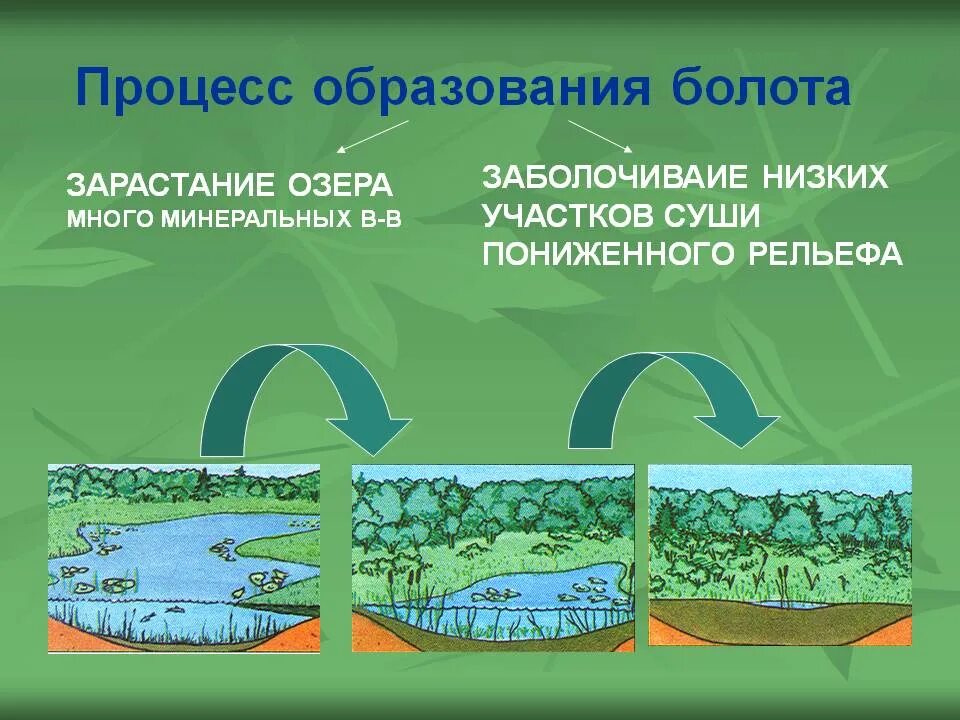 Участок земной поверхности суши или водоема