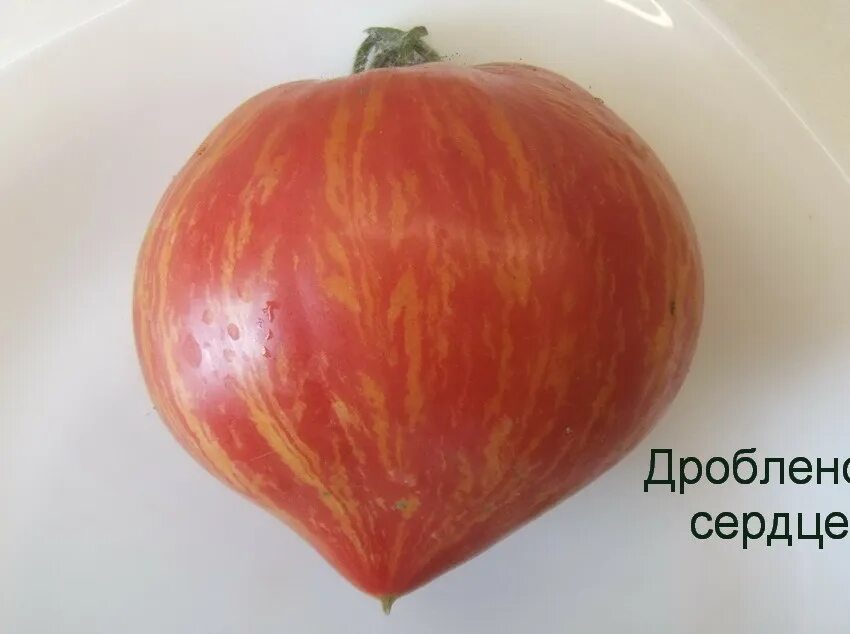 Томат сорт пылающие. Сорт томата дробленое сердце. томат разбитое дробленое сердце. дробленое сердце томат семена. сорт томатов пылающее сердце.