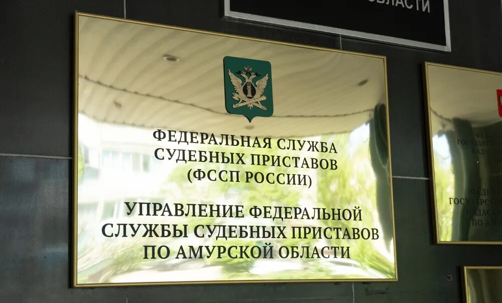 Амурская область развитие. Исполнительные производства амурская область. Исполнительные производства амурская область. Проектное управление в органах власти. Исполнительные производства амурская область.