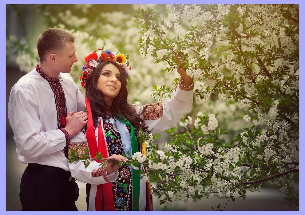Ой у вишневому