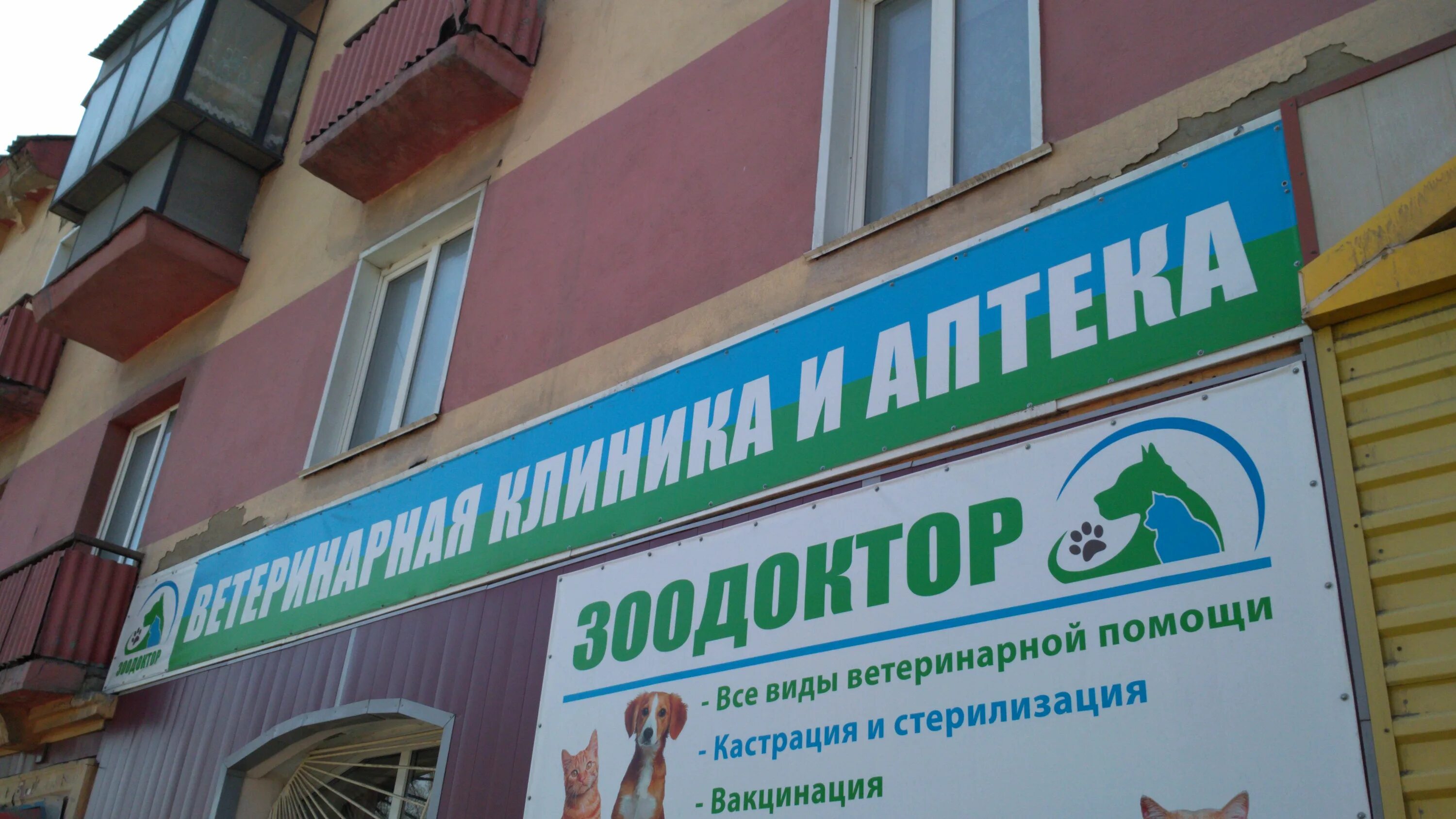 ветеринарная прокопьевск. лео ветеринарная клиника. ветеринарная клиника лео прокопьевск. ветеринарка прокопьевск. ветклиника феликс кемерово.