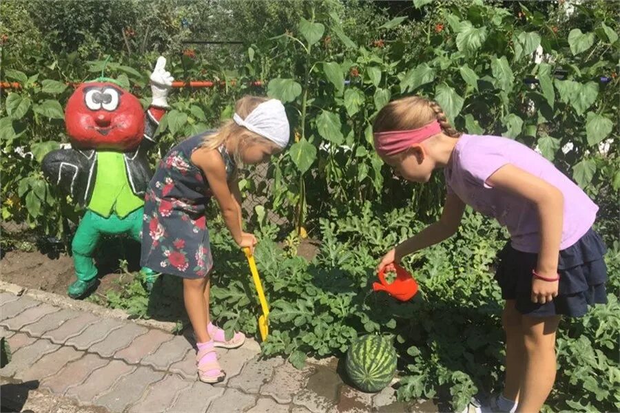 Овощи выращенные летом. Дети сажают овощи в детском саду. Детский огород. Детский огород в детском саду. Огород в детском саду сажаем овощи.