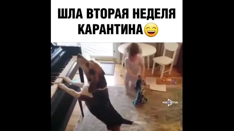 Пошла вторая неделя отпуска. Шел второй день. Холодно летом. Иди за второй. Anacondaz иди за второй обложка.