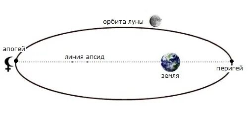 Апогей лунной орбиты схема. Орбита Луны вокруг земли схема. Орбита Луны перигей и апогей. Орбита Луны вокруг земли схема перигей и апогей с расстоянием.