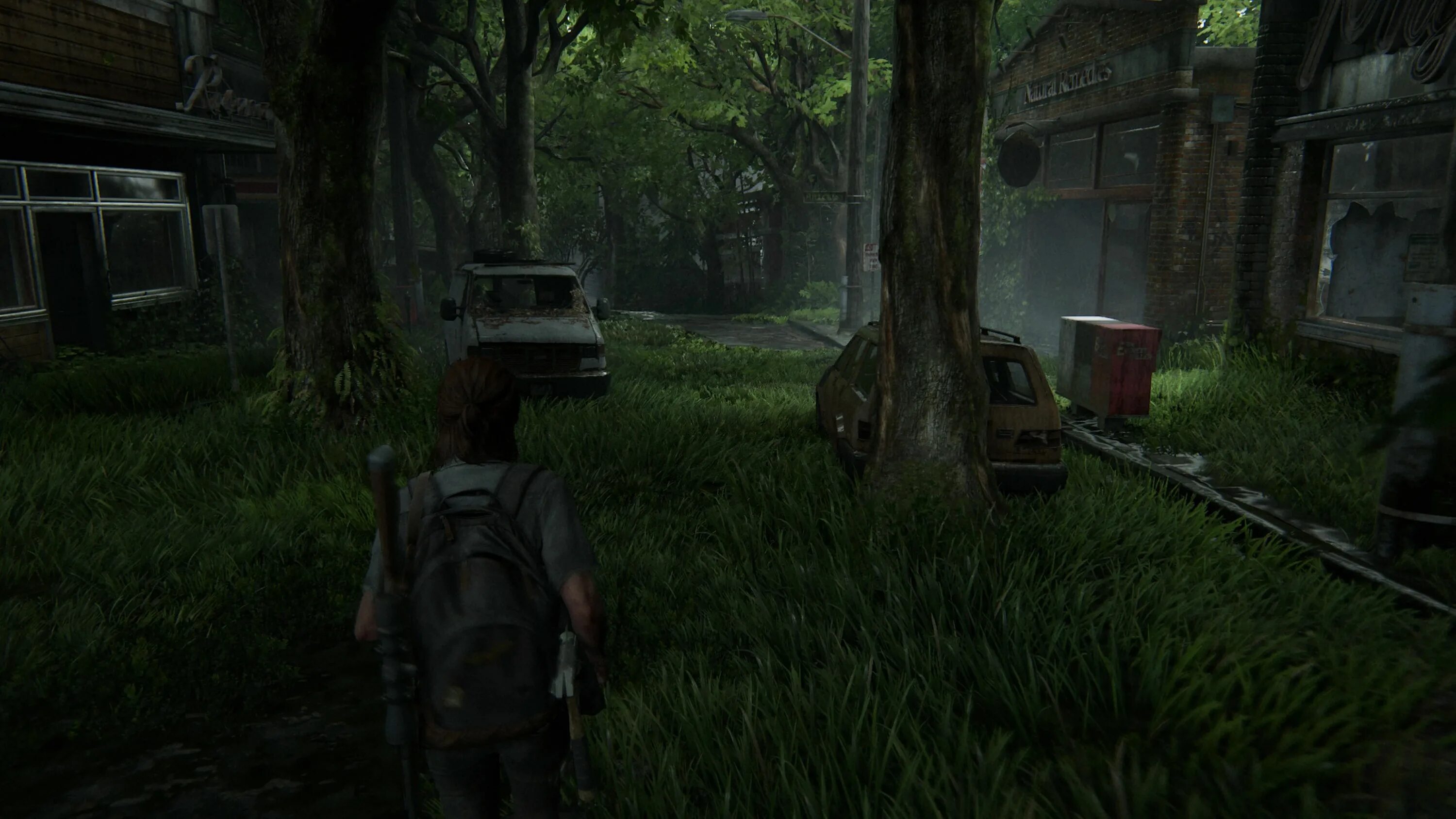 The last of us part 1 моды. The last of us 2 ps4 pro. the last of us 2 фоторежим скриншоты.