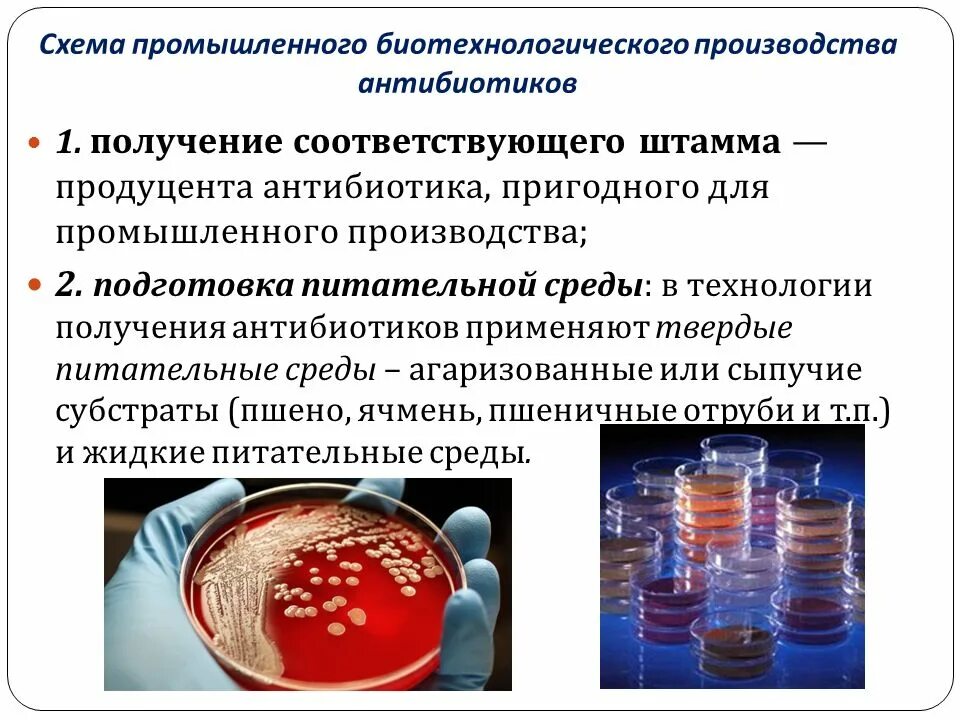 Подготовка к синтезу. Микробиологический Синтез антибиотиков. Продуценты антибиотиков биотехнология. Этапы производства антибиотиков. Биотехнологическая методов получения антибиотиков.