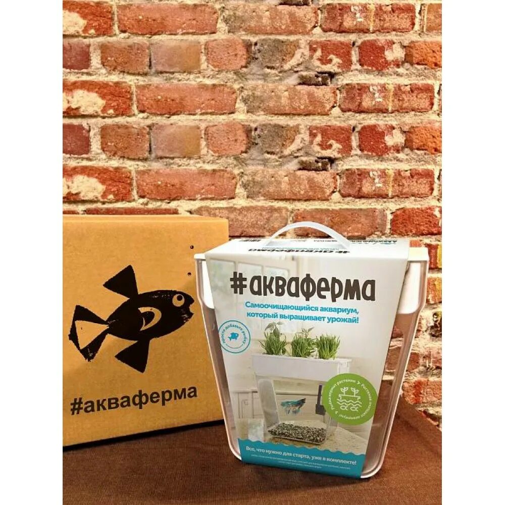 акваферма af2017. аквариум акваферма 10л. набор для выращивания растений и ухода за рыбкой «акваферма». «акваферма» гатчинский район. акваферма игра.