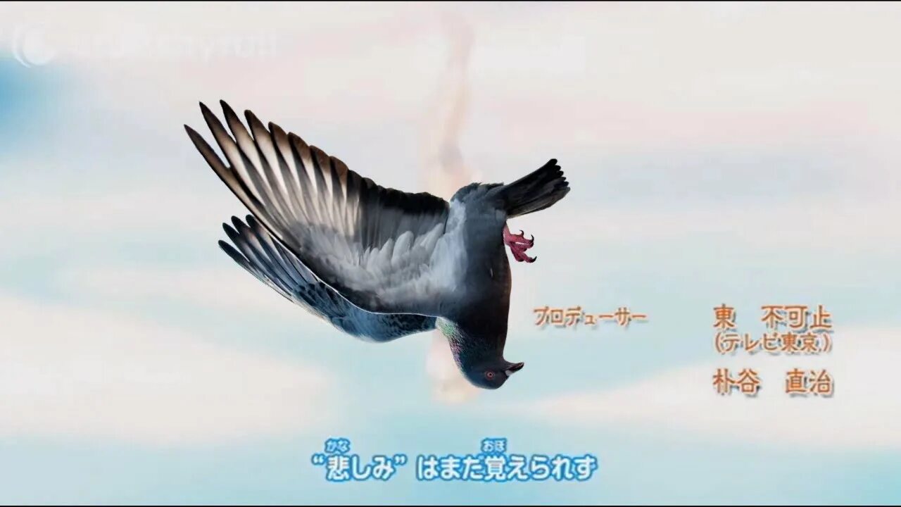 Токийский голубь. Токийский Гусь. Токийский голубь Мем.