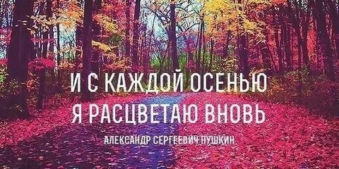 И с каждой осенью расцветаю вновь