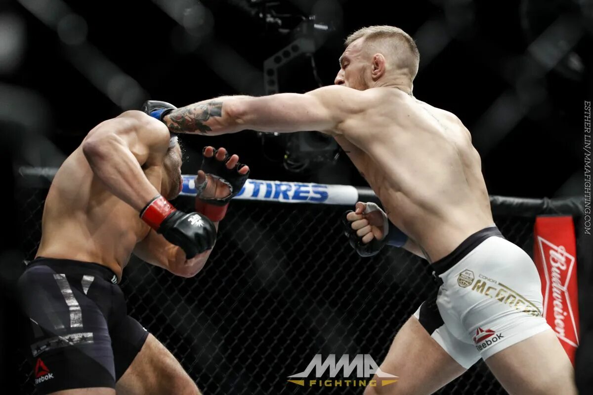 Макгрегор альварес бой. Ufc 205 mcgregor alvarez. Альварез против макгрегор. Макгрегор альварес бой. Макгрегор альварес бой.