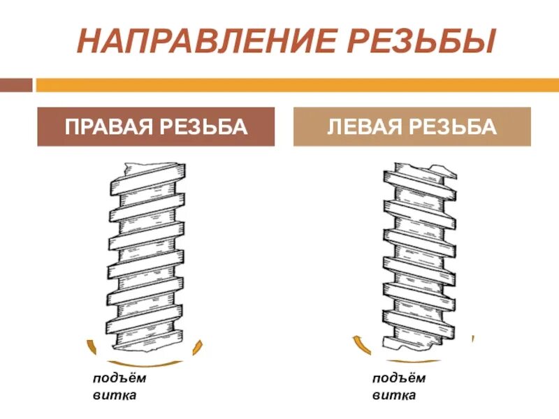 Как различить правое левое