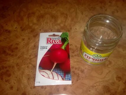 Посадка редиса замачивать
