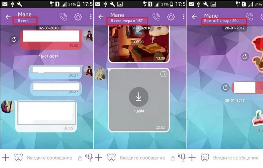 Как убрать время в вайбере. В сети Viber. Как в вайбере в сети. Статус в вайбере. Как сделать на вайбере не в сети.
