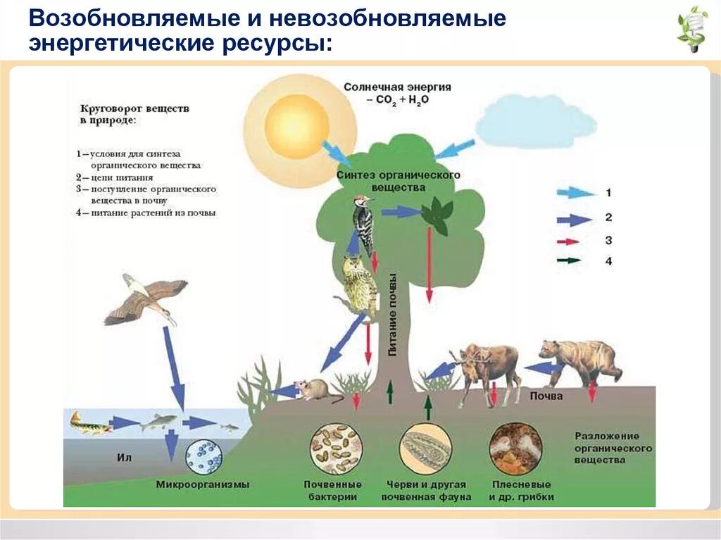 Обмен жизни и среда. Энергетическая функция живого вещества биосферы. Круговорот веществ в биосфере. Круговорот веществ в природе Биосфера. Круговорот веществ в при.