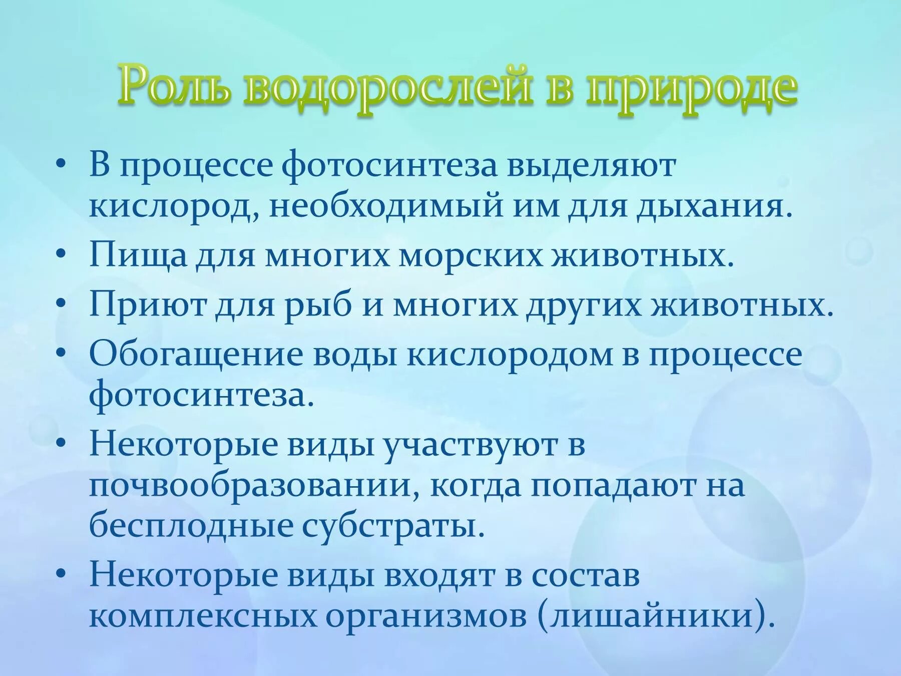 Сообщение о значении водорослей