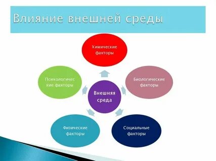 Факторы влияющие на уровень подготовки
