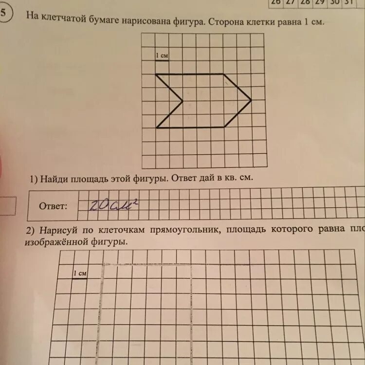 Площадь прямоугольника 4 класс математика впр. Фигуры прямоугольник по клеточкам. Начертить фигуру площадь которой. Площадь сложной фигуры по клеткам. Сторона клетки равна 1 см.