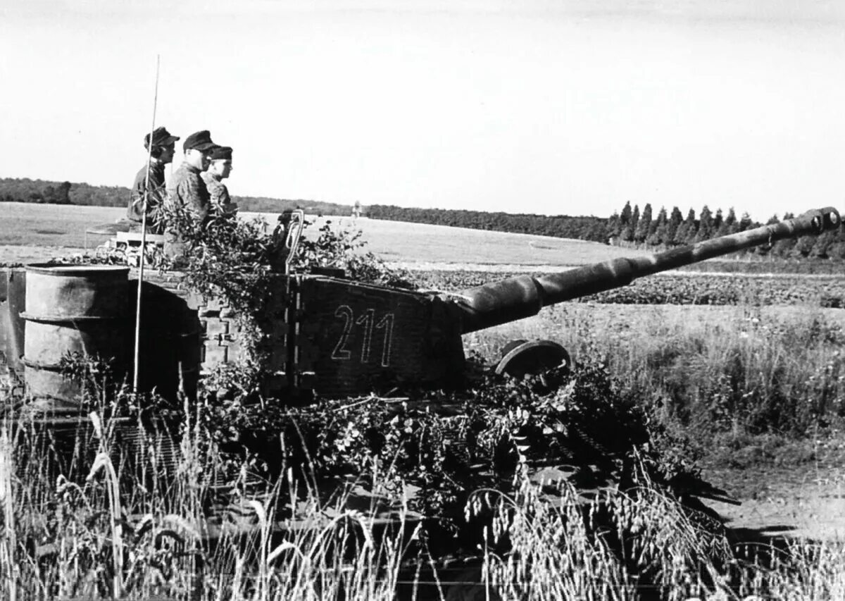 Танк тигр 1944. Маскировочная сеть немецких танков второй мировой войны. Танк тигр Нормандия камуфляж. Ss tanks